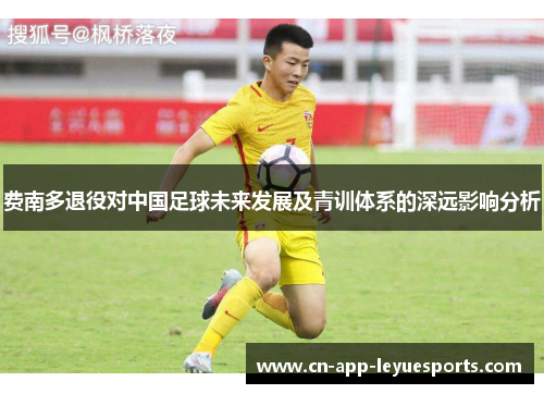 费南多退役对中国足球未来发展及青训体系的深远影响分析