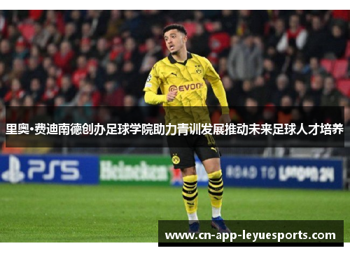 里奥·费迪南德创办足球学院助力青训发展推动未来足球人才培养