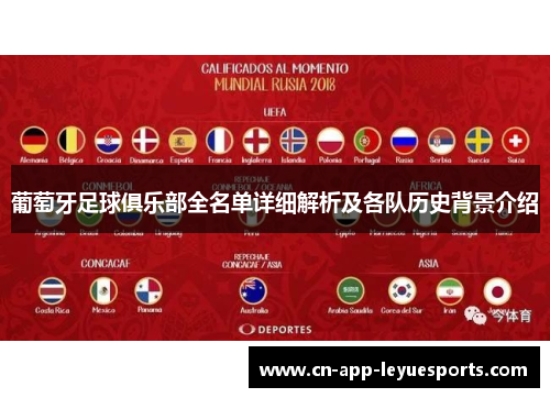 葡萄牙足球俱乐部全名单详细解析及各队历史背景介绍