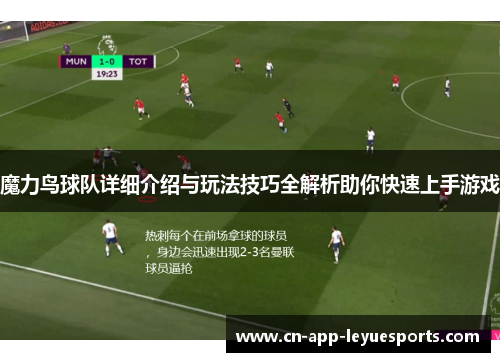 魔力鸟球队详细介绍与玩法技巧全解析助你快速上手游戏