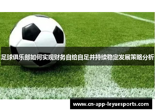 足球俱乐部如何实现财务自给自足并持续稳定发展策略分析